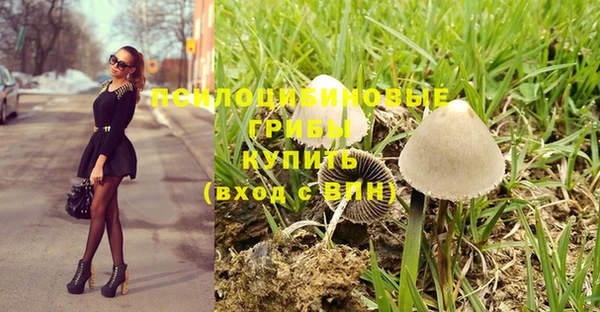 ешки Горно-Алтайск