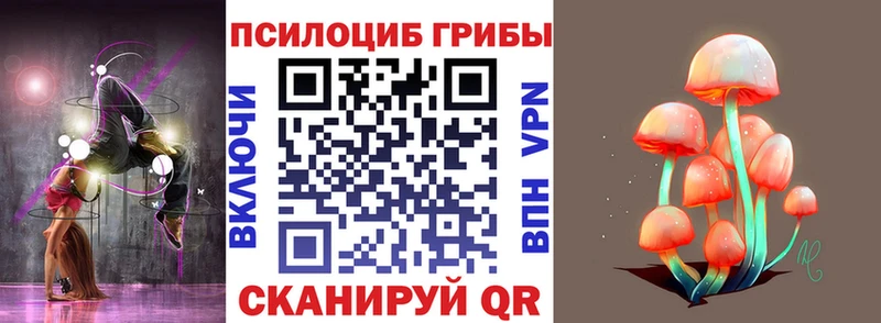 Псилоцибиновые грибы мицелий  Купить закладки  Собинка 